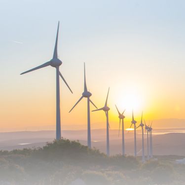 A group of wind turbines in the sunset