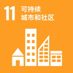 SDG 11