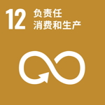 SDG 12