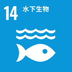 SDG 14