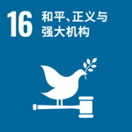 SDG 16